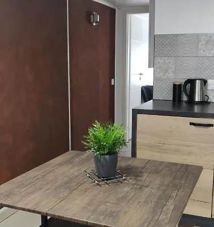L'Estrade, appartement de standing en hyper-centre Sarreguemines Buitenkant foto